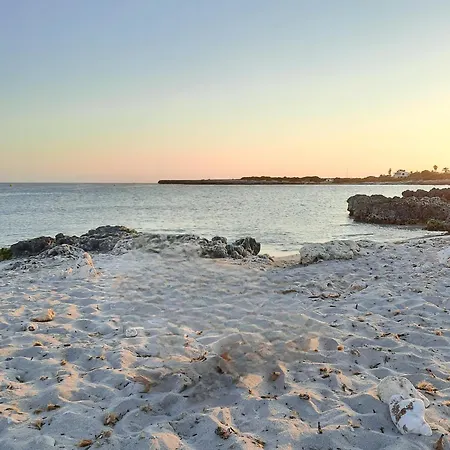 Playa Xoriguer Con Piscina Y Jardin