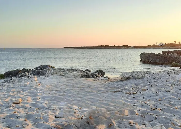Playa Xoriguer Con Piscina Y Jardin