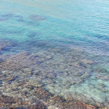 Lejlighed Playa Xoriguer Con Piscina Y Jardin *