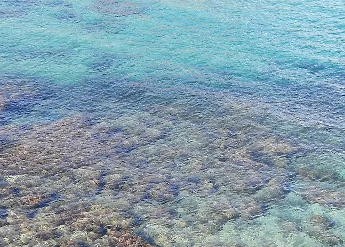 شقة Playa Xoriguer Con Piscina Y Jardin *